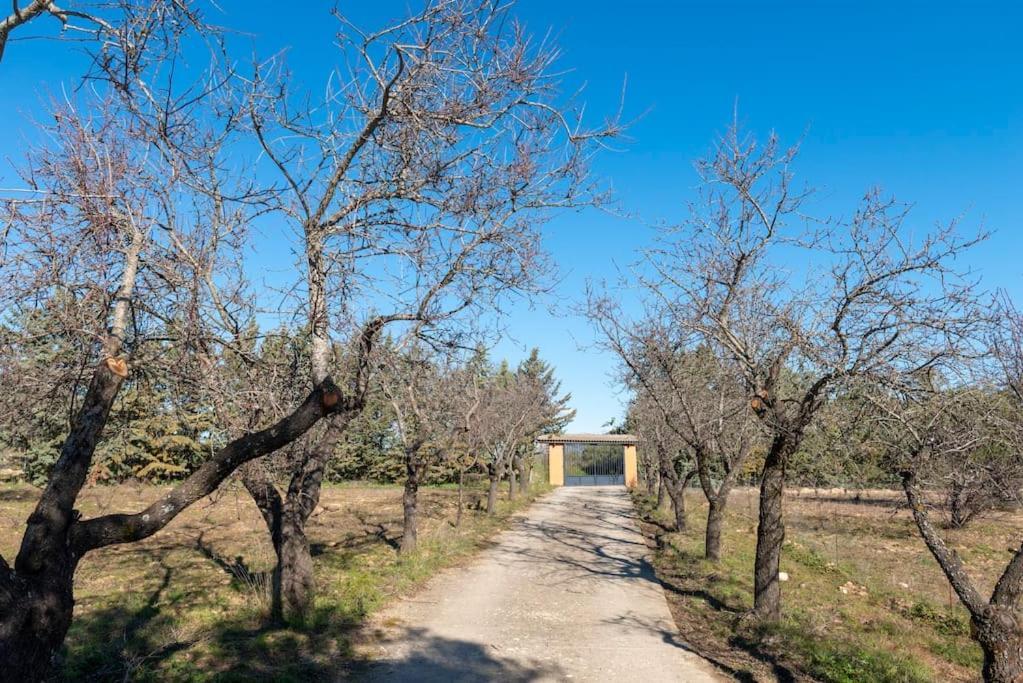 Finca El Palomar De La Vina 마드리드 외부 사진